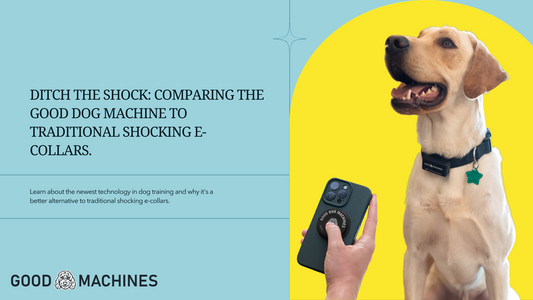 Ditch the Shock: Comparing the Good Dog Machine to Traditional Shocking E-Collars