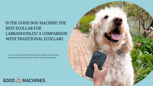 Is the Good Dog Machine the best eCollar for Labradoodles? A comparison with traditional eCollars