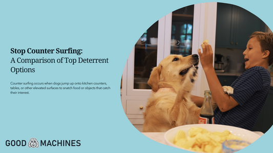 Stop Counter Surfing: A Comparison of Top Deterrent Options