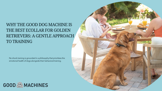 Why the Good Dog Machine is the Best Ecollar for Golden Retrievers: A Gentle Approach to Training