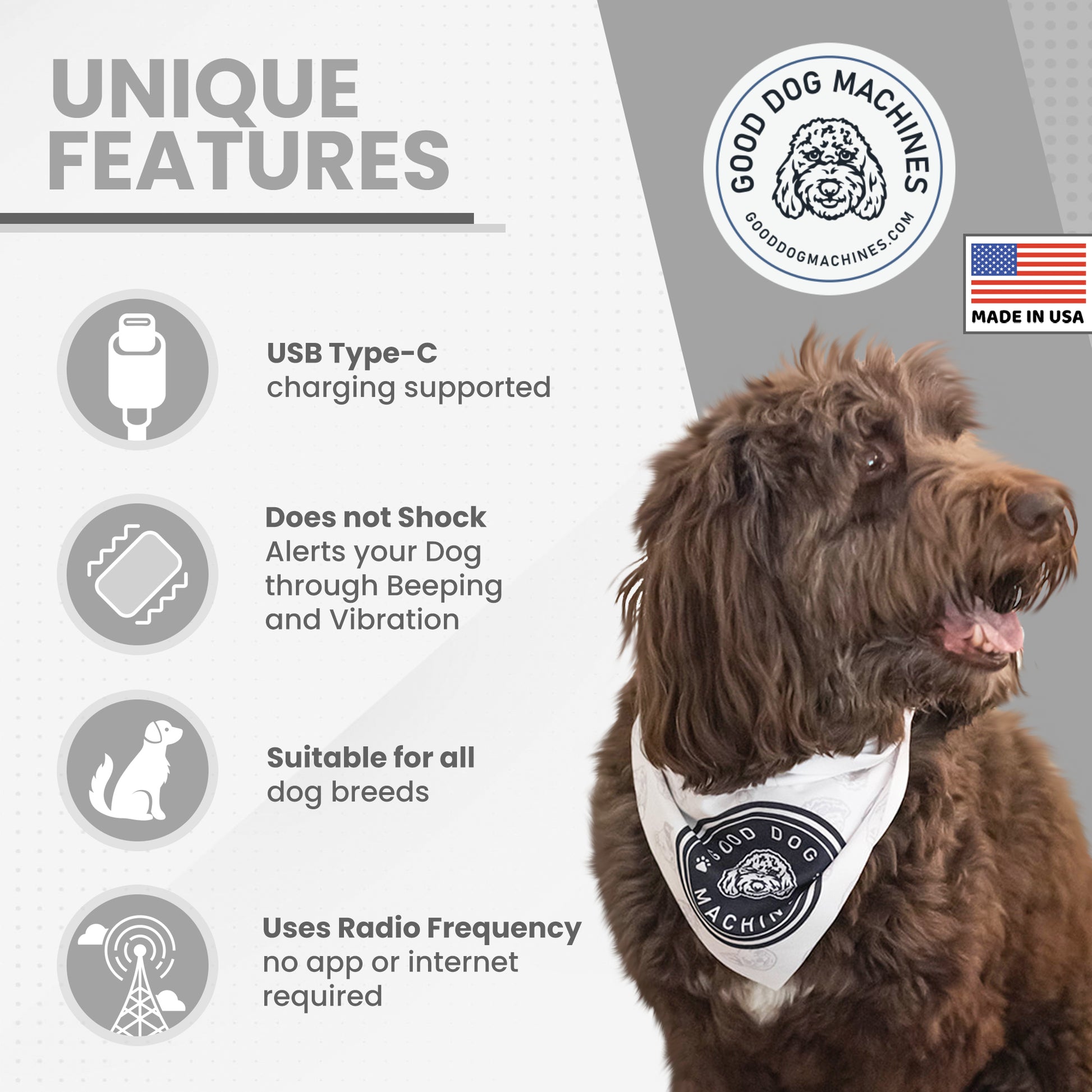 Best shock store collar for goldendoodle