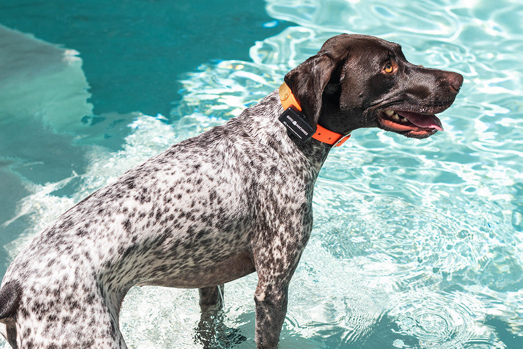 The Good Dog Machine is IP67 waterproof.